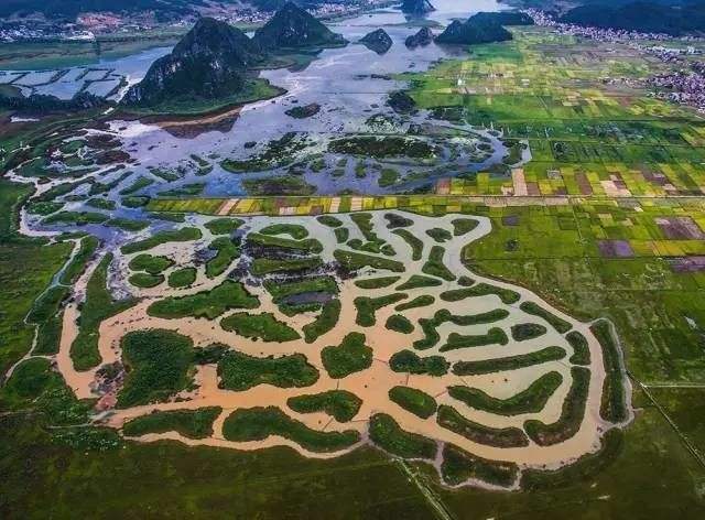 普者黑客运站到景区大巴(普者黑客运站电话)