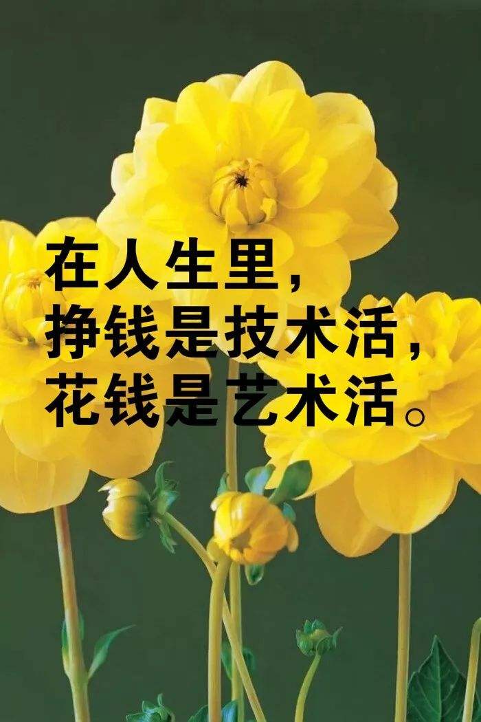 经典人生短句(沧桑经典人生短句)