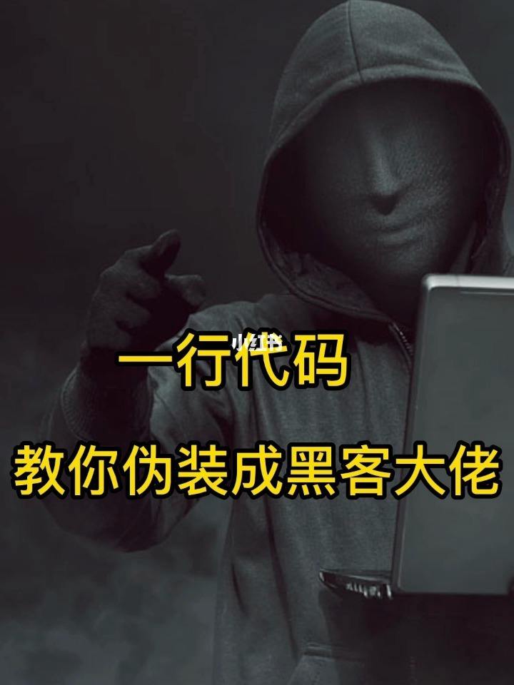 假装自己是一个黑客全集(我是个黑客)