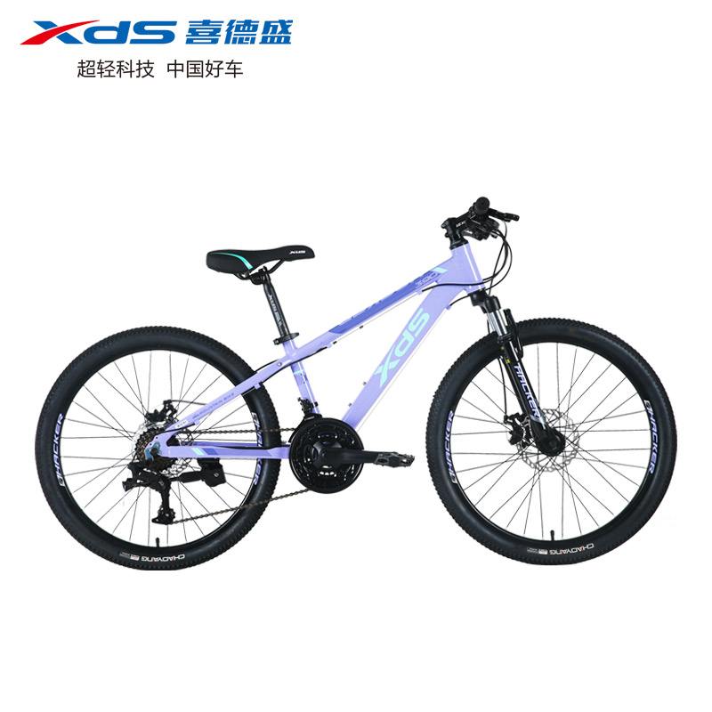 xds黑客300测评(xds黑客600)