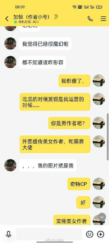 霸道黑客和他的小作者(男主黑客小说)