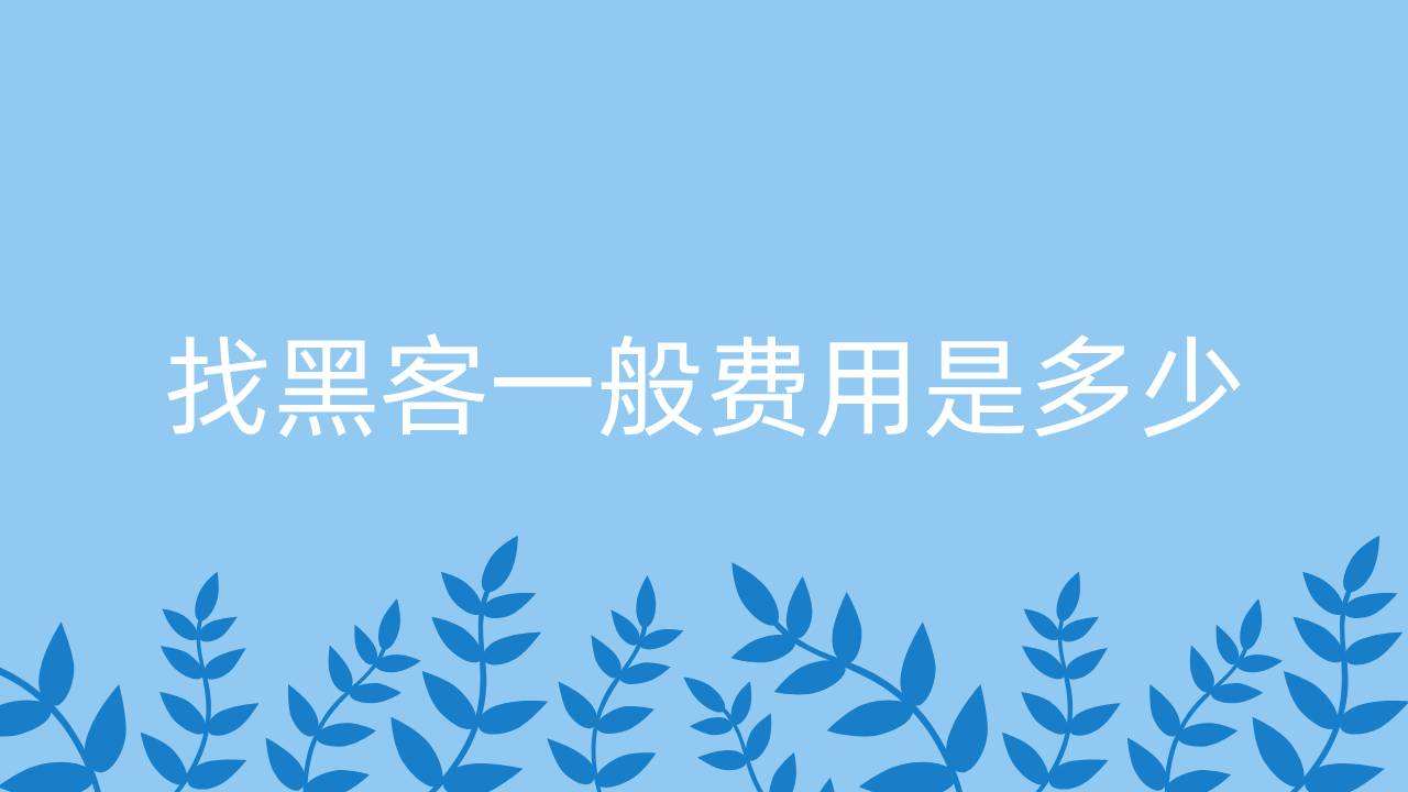 先追回后付款的黑客(求黑客高手帮忙追款)