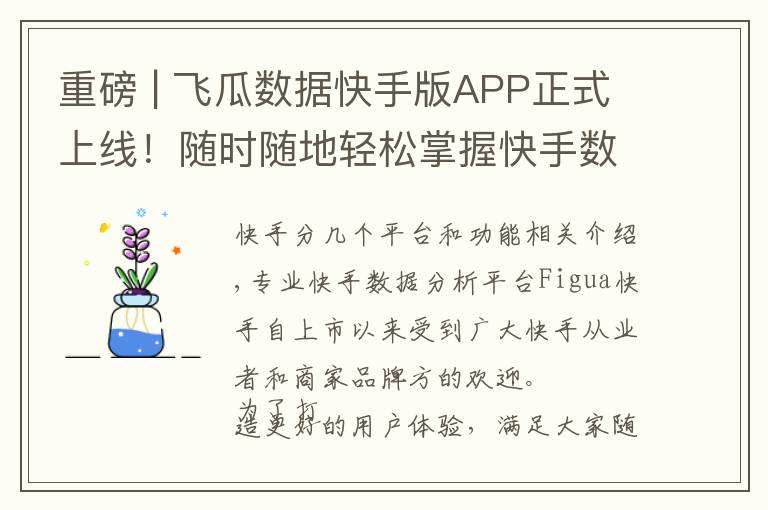 飞瓜数据app下载(飞瓜数据官方app下载)