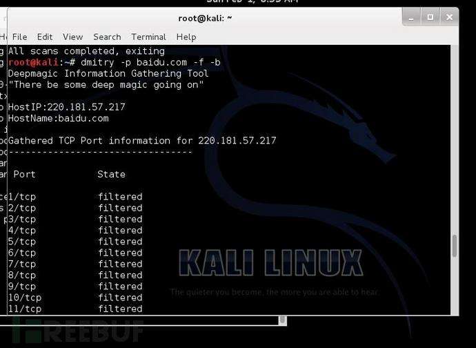 kalilinux怎么下载(kalilinux怎么下载火狐浏览器)