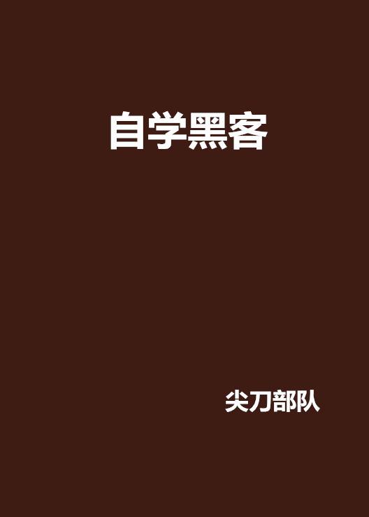 黑客学霸文(黑客文小说)