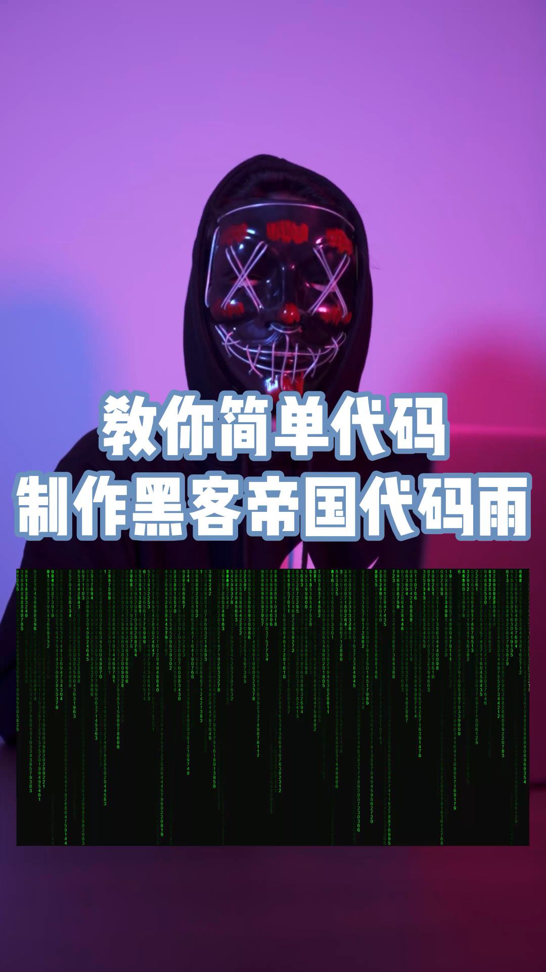 小黑虫黑客(小黑客是什么)