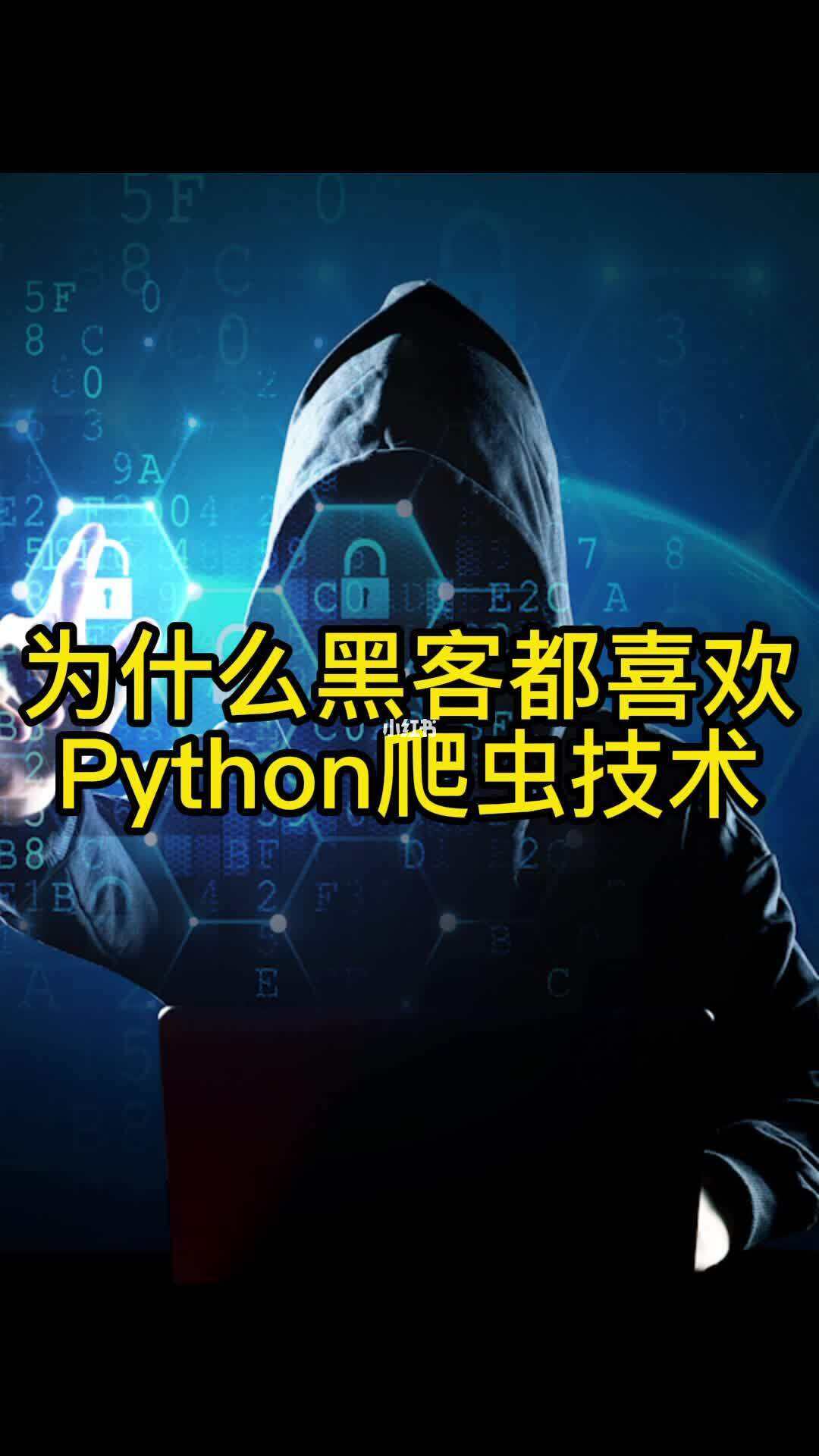 python打造黑客(自学python当黑客)