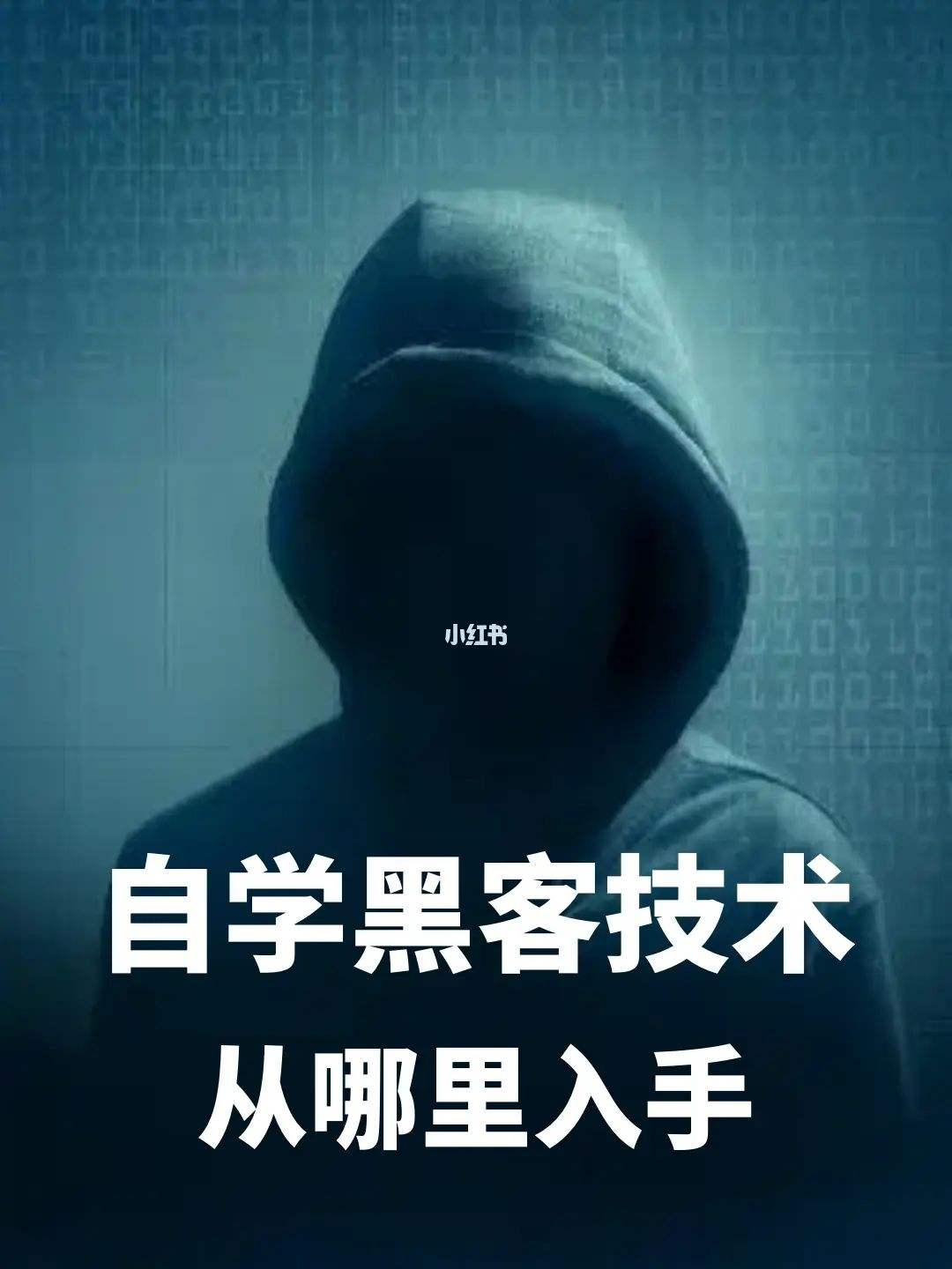 暗网的黑客(暗网的亲身经历)