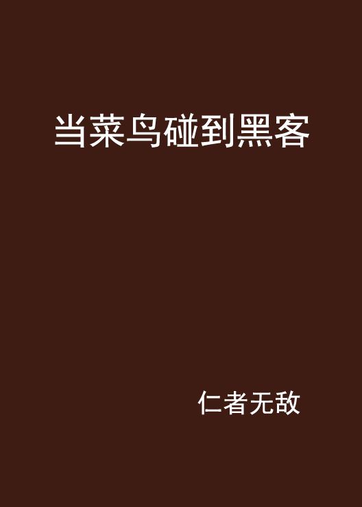 菜鸟和高手和黑客比战斗机(菜鸟和高手和黑客比战斗机谁厉害)