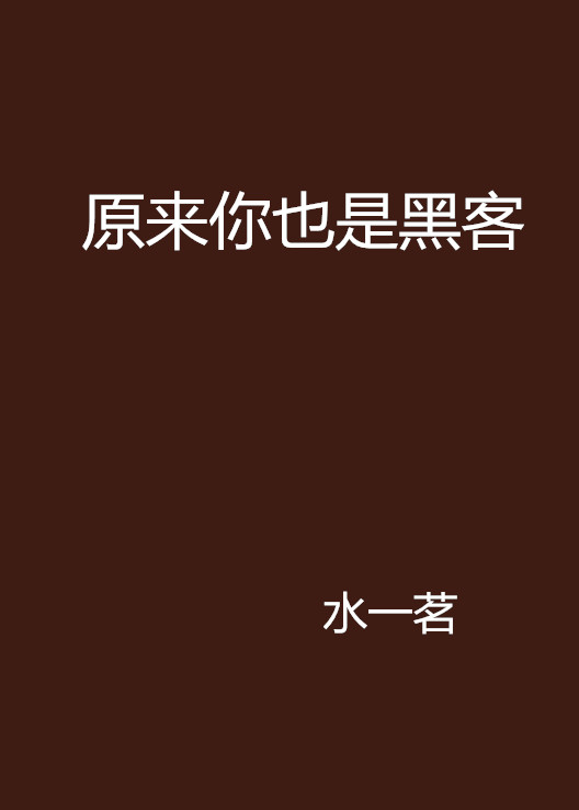 黑客参加选秀的小说(主角是黑客加入国家的小说)