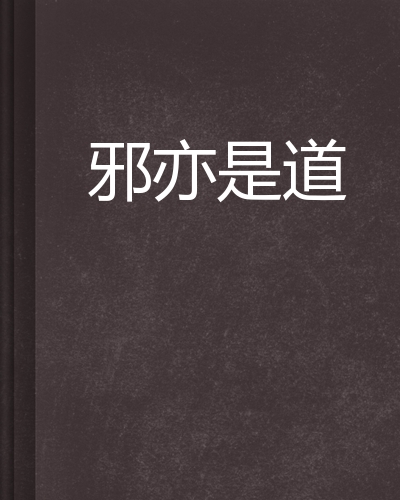 黑客之道亦正亦邪(黑客之道漏洞发掘的艺术)