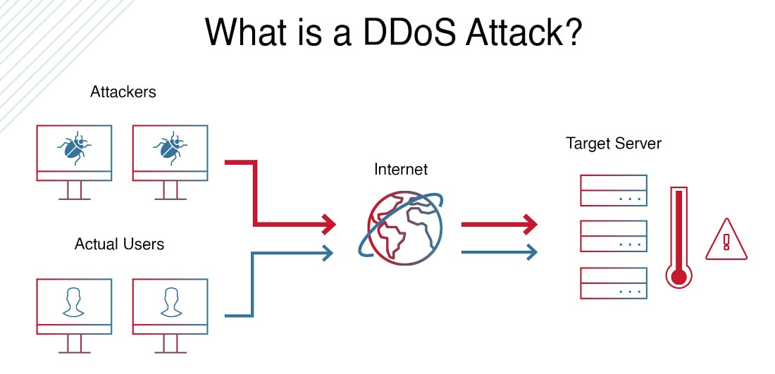 免费的安全ddos(免费的安全员刷题软件)