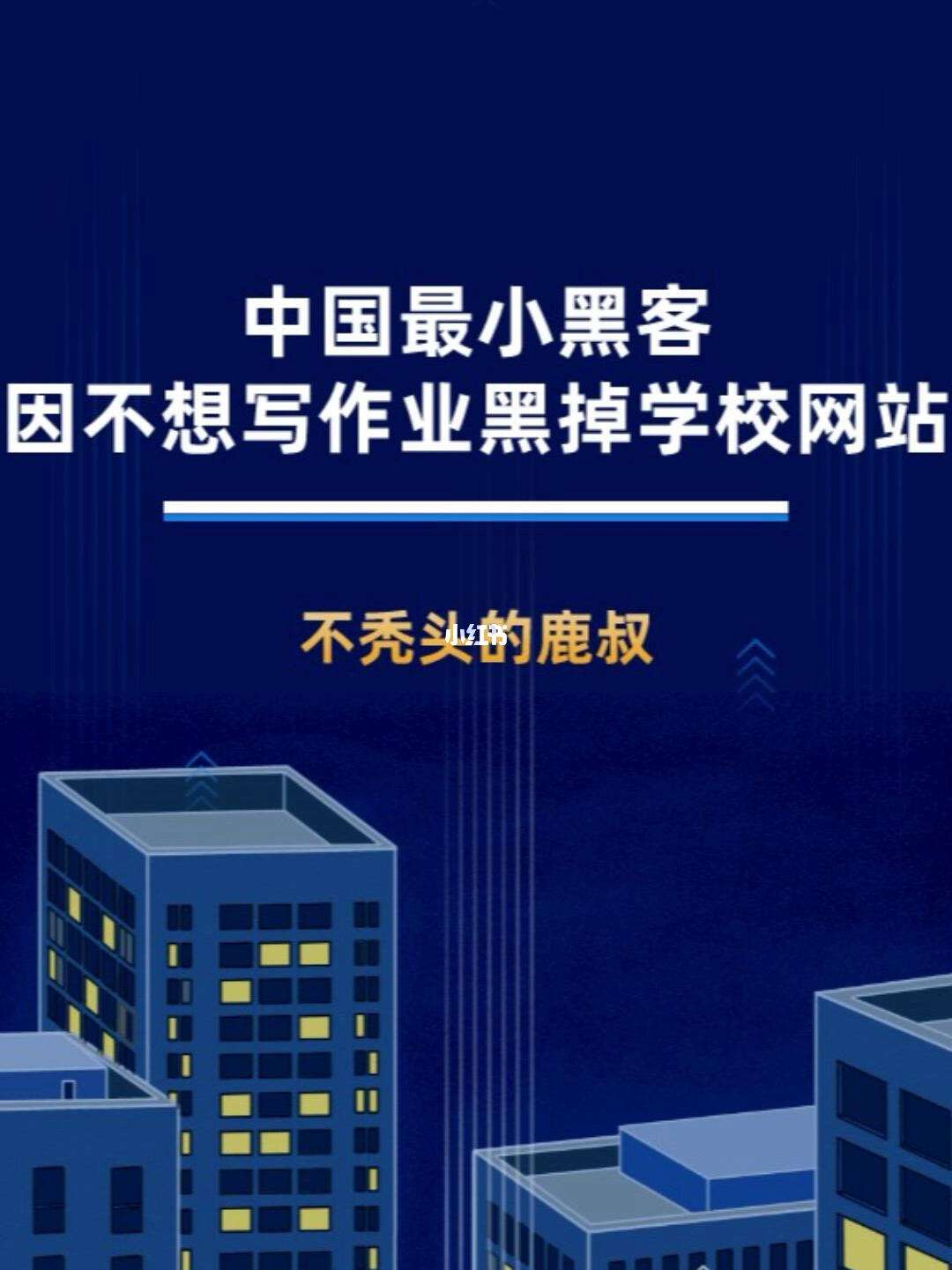 中国七岁小孩黑客(中国小学生黑客)