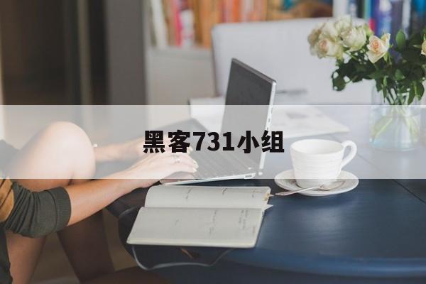 黑客731小组(黑客131小组可靠么)