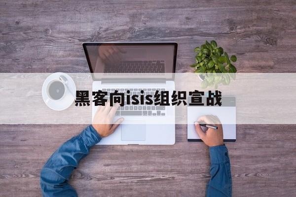 黑客向isis组织宣战的简单介绍